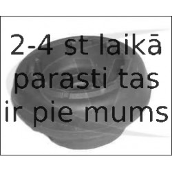 Amortizatora statnes balsts VAICO V10-1156