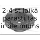 Amortizatora statnes balsts VAICO V30-1194