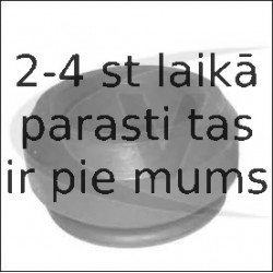 Amortizatora statnes balsts VAICO V25-0077