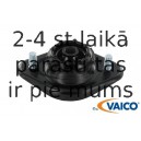 V20-1038
