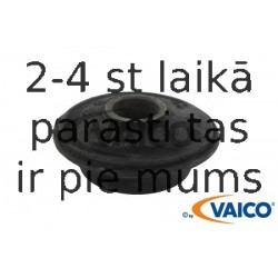 Piekare, Šķērssvira VAICO V10-1151