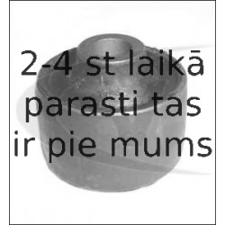 Piekare, Šķērssvira VAICO V25-0073