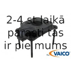 V10-1243