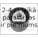 V20-0308