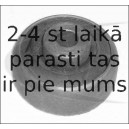 VAICO V25-0076 (4), Piekare, neatkarīgas riteņa piekares svira