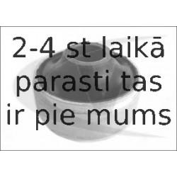 VAICO V10-1385 (4), Piekare, neatkarīgas riteņa piekares svira
