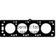 Прокладка, головка цилиндра ELRING 351.351
