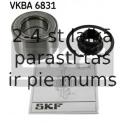 VKBA6831