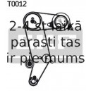 SKF VKM-21031 (6), Parazītrullis / vadošais rullis, zobsiksna