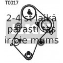 SKF VKM-23241 (6), Parazītrullis / vadošais rullis, zobsiksna