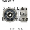 SKF VKM-36017 (6), Parazītrullis / vadošais rullis, daudzceliņu siksna