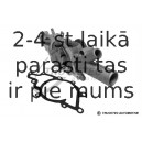 Ūdenssūknis TRUCKTEC AUTOMOTIVE 02.19.173