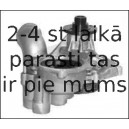 Ūdenssūknis VAICO V20-50028