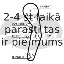 Zobsiksnas komplekts GATES K035569XS