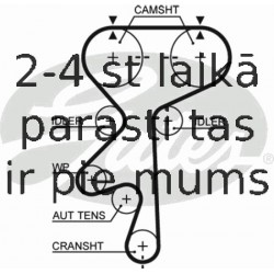 Ремень ГРМ GATES 5461XS